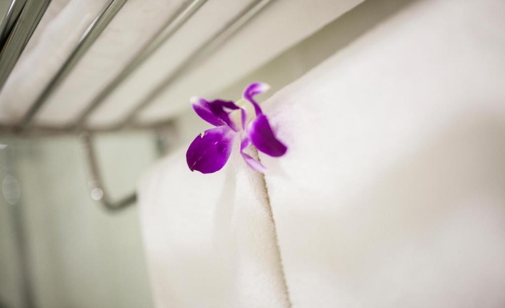 White Snow Hotel ดานัง ห้อง รูปภาพ